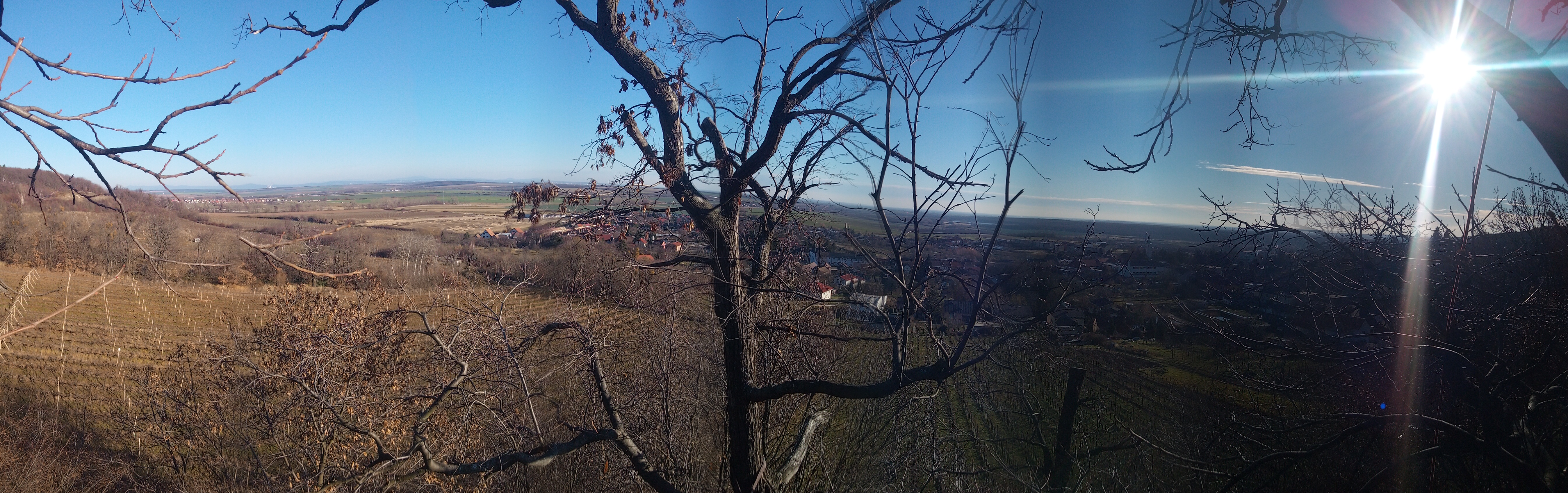 Arboristika ošetrovanie stromov